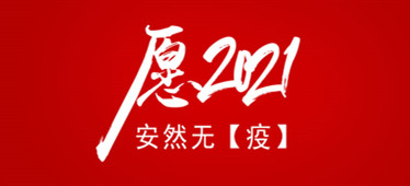 2020這【疫】年我們共同撐過(guò)了，愿2021安然無(wú)【疫】！